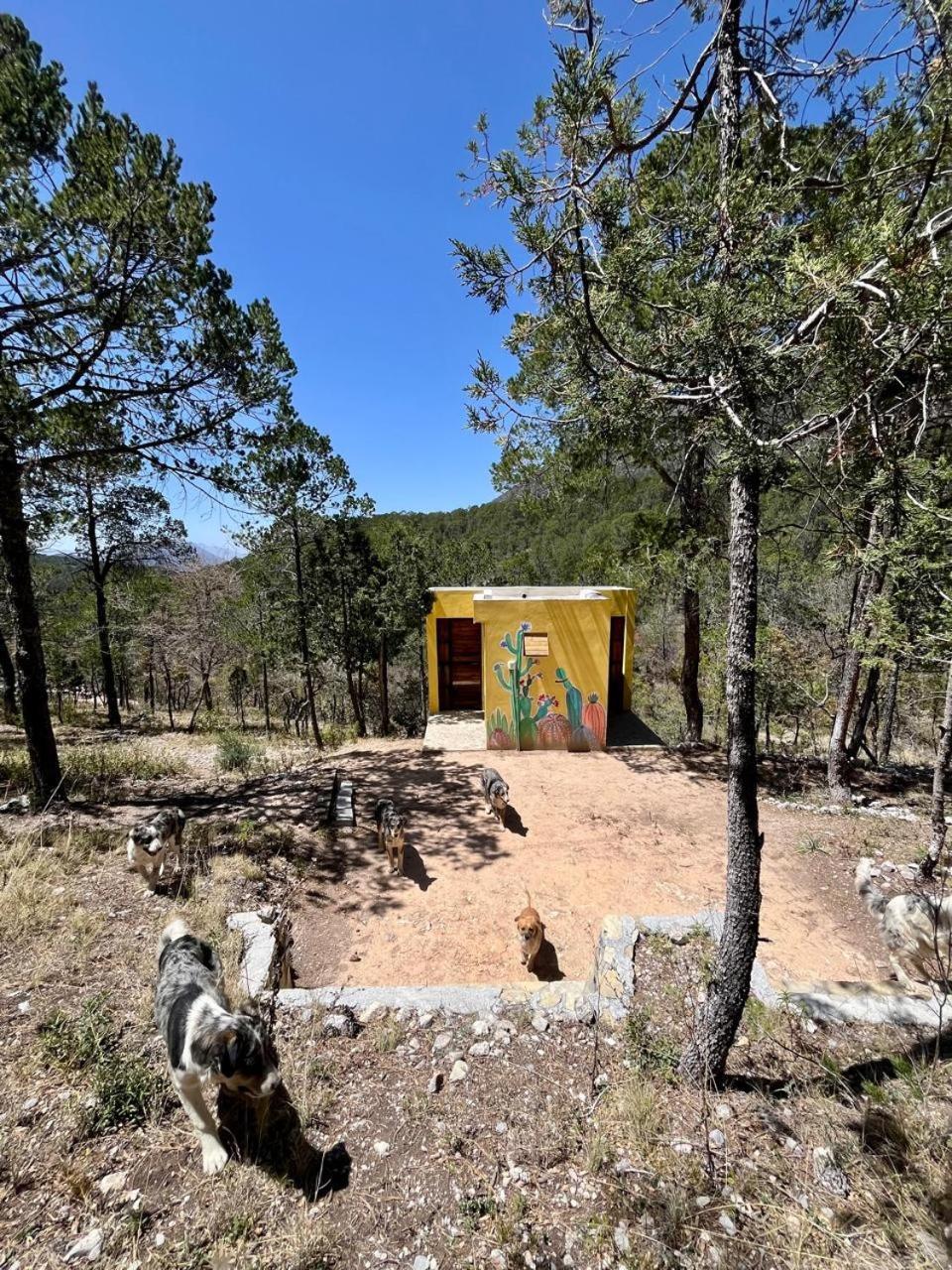 Camping En La Sierra De Arteaga Лос-Лириос Экстерьер фото